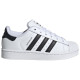 Adidas Superstar II C